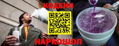 индика Гатчина