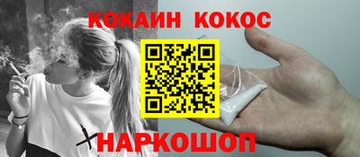 индика Гатчина
