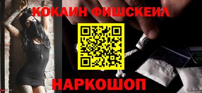 индика Гатчина