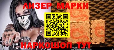 индика Гатчина