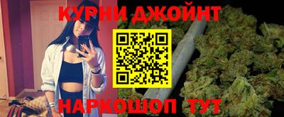 индика Гатчина