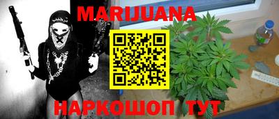 индика Гатчина
