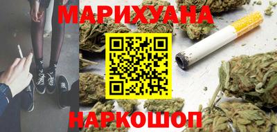 индика Гатчина