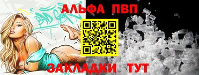 индика Гатчина