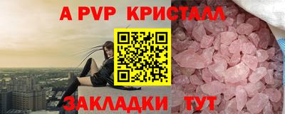 индика Гатчина